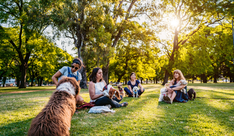 Dog-friendly places in Orlando, including hotels, restaurants, and parks for pet owners.